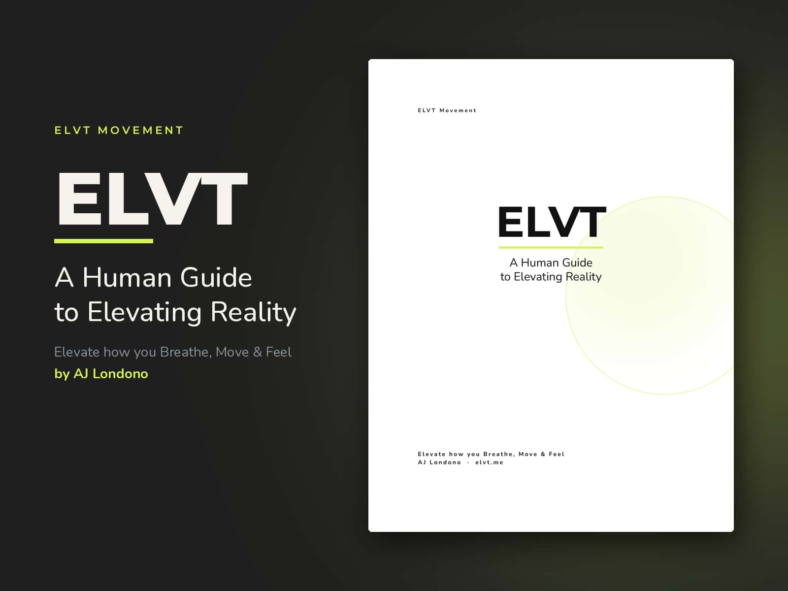 ELVT: A Human Guide to Elevating Reality